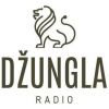 svira.php?radio_naz=1614-radio-dzungla-3&radio-dzungla-3