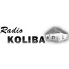 https://sviraradio.com:443/svira.php?radio_naz=1649-radio-koliba